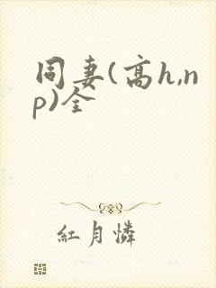 同妻(高h,np)全