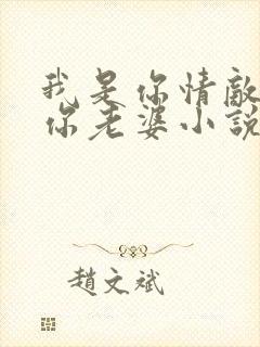 我是你情敌不是你老婆小说