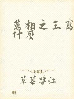 万相之王写的是什么