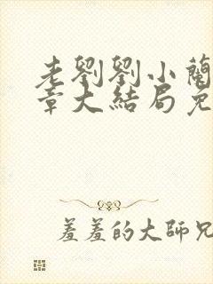 老刘刘小兰11章大结局免费阅读