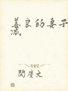 善良的妻子无删减封面