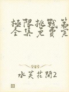极限挑战第7季全集免费完整版