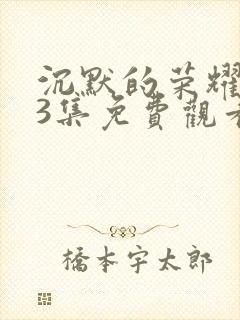 沉默的荣耀第13集免费观看