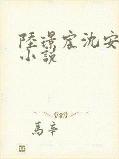 陆璟宸沈安澜的小说