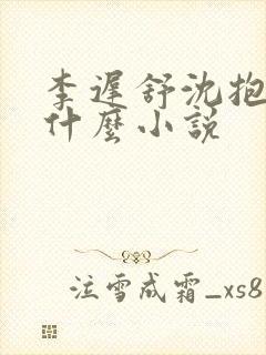 李迟舒沈抱山是什么小说封面