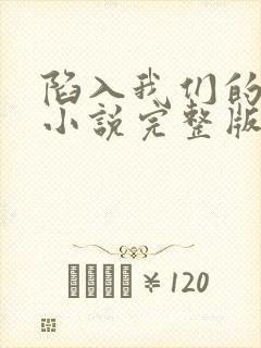 陷入我们的热恋小说完整版在线阅读封面