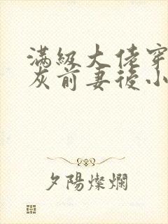 满级大佬穿成炮灰前妻后小说