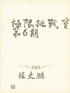 极限挑战宝藏行第6期