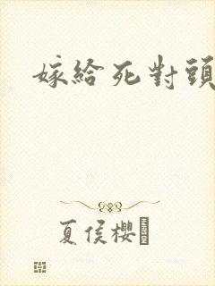 嫁给死对头封面