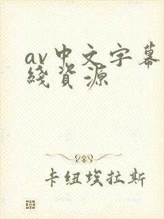 av中文字幕在线资源
