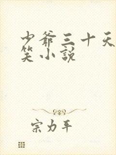 少爷三十天后会笑小说封面