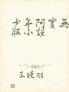 少年阿宾无删减版小说封面