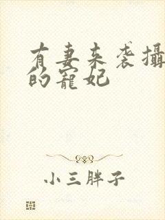 有妻来袭摄政王的宠妃