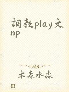 调教play文np