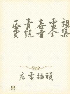 正青春电视剧免费观看全集西瓜