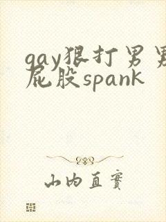 gay狠打男男屁股spank