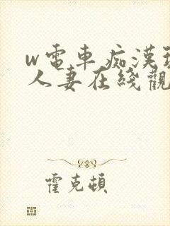 w电车痴汉玩弄人妻在线观看