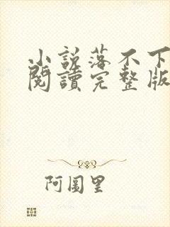 小说落不下免费阅读完整版