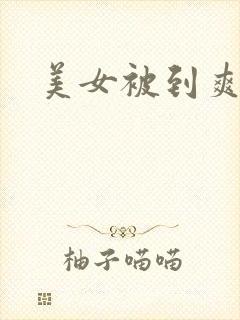 美女被到爽视频