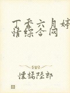 丁香六月婷婷激情综合网