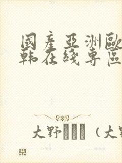 国产亚洲欧美日韩在线专区