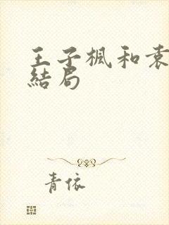 王子枫和袁雯洁结局