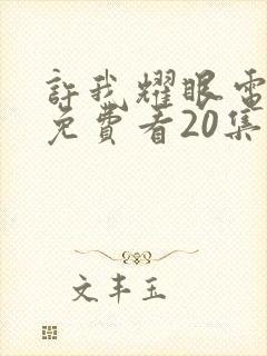 许我耀眼电视剧免费看20集