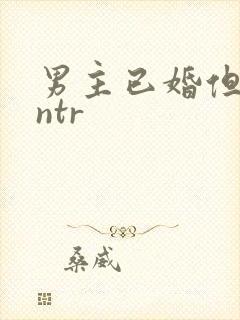 男主已婚但出轨ntr