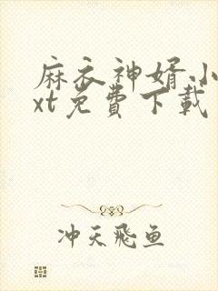 麻衣神婿小说txt免费下载