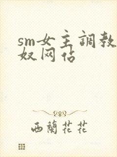 sm女主调教男奴网站封面