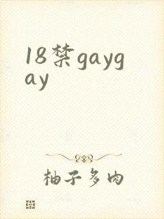 18禁gaygay