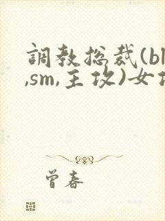 调教总裁(bl,sm,主攻)女攻