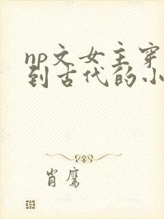 np文女主穿越到古代的小说一开始是屠