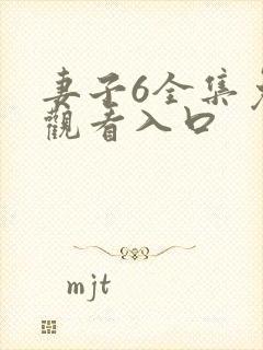 妻子6全集免费观看入口封面