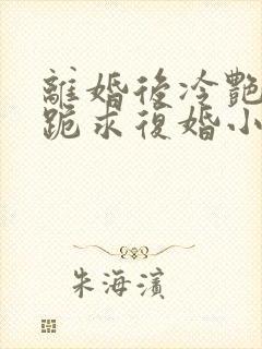 离婚后冷艳总裁跪求复婚小说