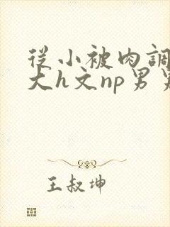 从小被肉调教到大h文np男男