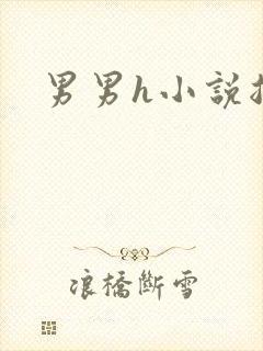男男h小说总受