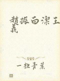 赵振白洁王申高义