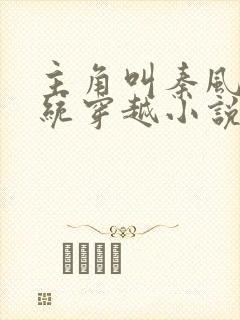 主角叫秦风的系统穿越小说