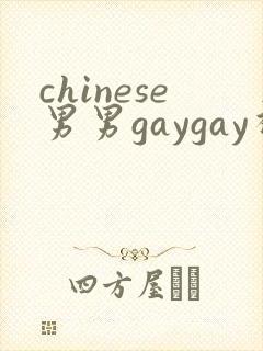 chinese男男gaygay视频网站封面