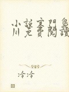 小说寒门枭士北川免费阅读封面