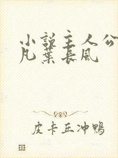 小说主人公叫叶凡叶长风