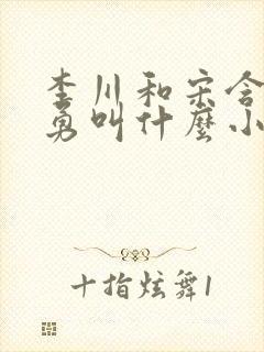 李川和宋含香李勇叫什么小说