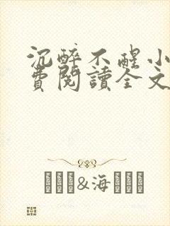 沉醉不醒小说免费阅读全文无弹窗