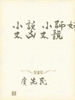 小说 小师妹她又凶又靓