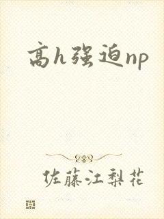 高h强迫np