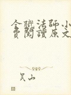 全职法师小说免费阅读原文