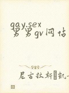 gay.sex男男gv网站封面
