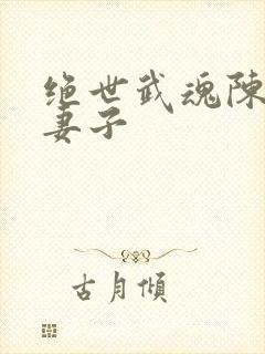 绝世武魂陈枫的妻子