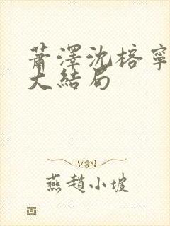萧泽沈榕宁结局大结局